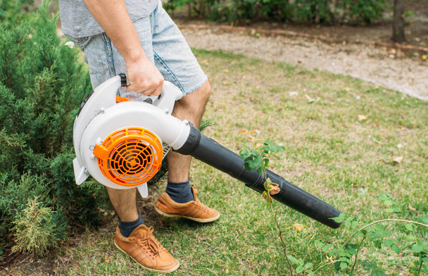 Green lawn cleaning with an electric cordless air blower from colorful fallen leaves - Photo, Image