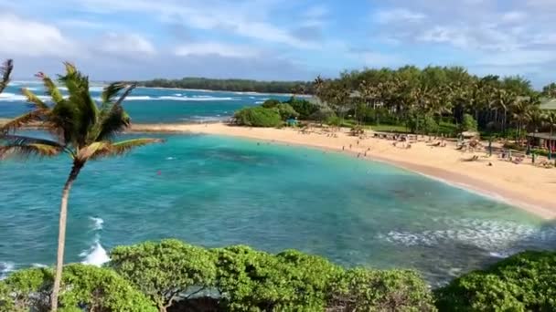 Schilderachtige lagune op het eiland Oahu, Hawaï. Prachtig landschap. Oceaan, lichte wind, golven, zon, palmbomen, zandstrand. - Video