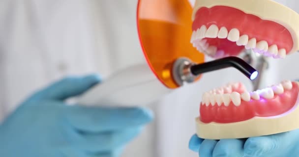Οδοντίατρος με γάντια λάμπει σκλήρυνση μηχανή φωτός σε τεχνητό πλαστικό μοντέλο της γνάθου 4k ταινία. Έννοια της οδοντιατρικής εκπαίδευσης - Πλάνα, βίντεο