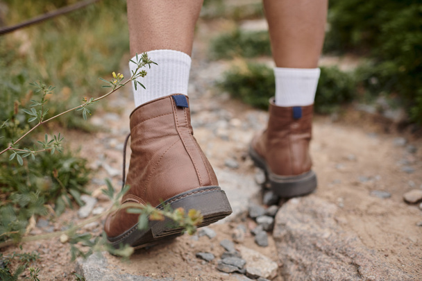 άγρια φύση, περικοπή άποψη του πεζοπόρου περπάτημα σε καφέ μπότες με άσπρες κάλτσες, περιπέτεια αναζήτησης - Φωτογραφία, εικόνα