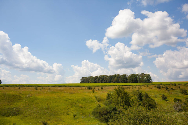 krajobraz z polem zielonej trawy i błękitne niebo z chmurą. - Zdjęcie, obraz