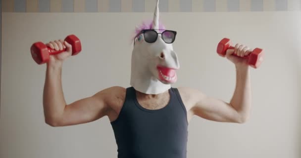 Hombre divertido con máscara de unicornio y gafas de sol haciendo ejercicio con pesas para el entrenamiento de la mano sobre el fondo blanco en casa. Fitness cómico en casa. Tramos humorísticos. Ejercicio divertido en casa. - Metraje, vídeo