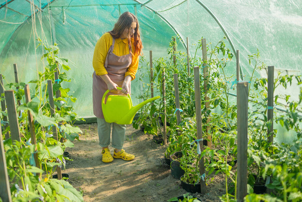 Landwirt gießt Bio-Tomatenpflanze im Gewächshaus, selbst angebautes Bio-Gemüse. Pflege des heimischen Gartenkonzepts - Foto, Bild