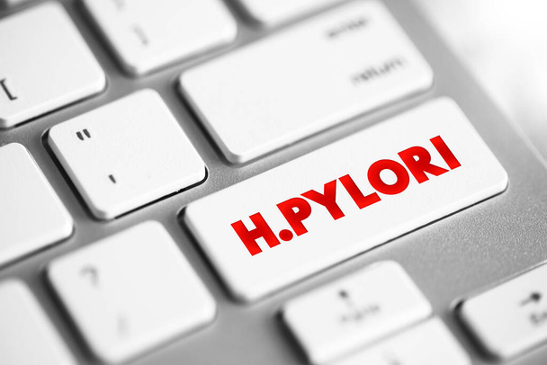 H. pylori - are bacteria that can cause an infection in the lining of your stomach, text concept button on keyboard - Photo, Image