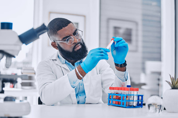 Sample analysis, research and a scientist with blood for science or pharmaceutical healthcare in a lab. Focus, doctor or a black man with a dna vial for virus test, technician work or expert check. - Photo, Image
