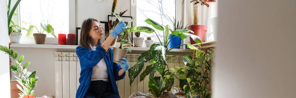 Young brunette woman in gloves transplanting flowers on floor in bright apartment - Fotó, kép