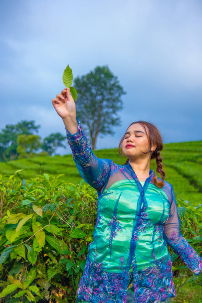 a tea garden farmer is posing beautifully in the middle of green tea leaves in the morning - Fotó, kép