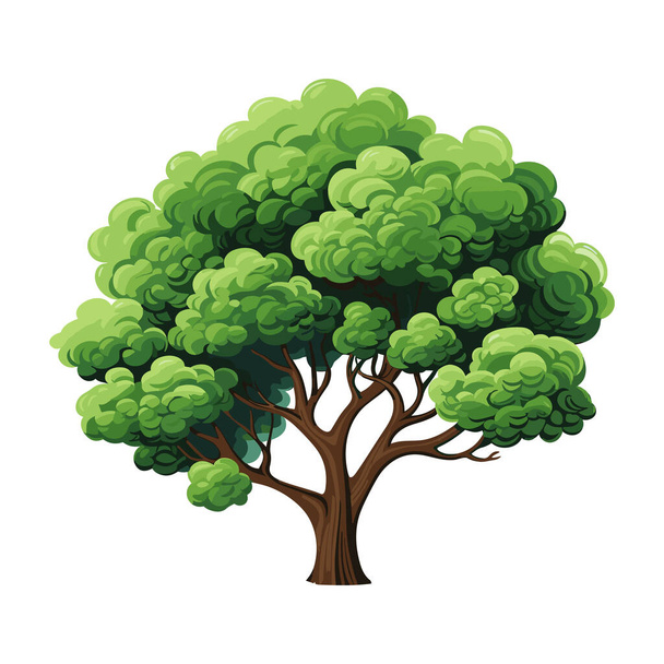 Árbol realista de dibujos animados aislado sobre fondo blanco. Linda planta verde, bosque. Se puede utilizar para ilustrar cualquier naturaleza o estilo de vida saludable tema. - Vector, imagen