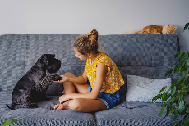 Концепция обучения собак. девушка обучение домашнего животного на дому в гостиной, играть и награждение его угощениями - Фото, изображение