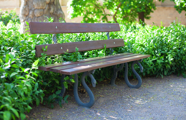 Деревянная скамейка в парке
 - Фото, изображение