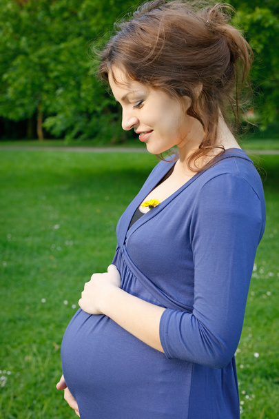 Portrait of beautiful pregnant woman - Foto, Imagem