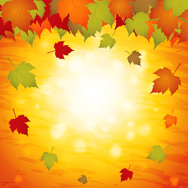 Herbstblätter - Vektor, Bild