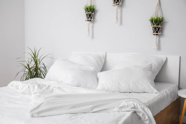 Duże łóżko podwójne z białymi poduszkami i roślinami domowymi we wnętrzu jasnej sypialni - Zdjęcie, obraz