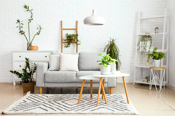 Belső tér világos nappali szürke kanapéval és szobanövényekkel - Fotó, kép