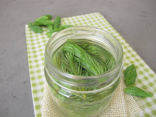 Spruce tips extract: tincture from young spruce shoots - Photo, Image