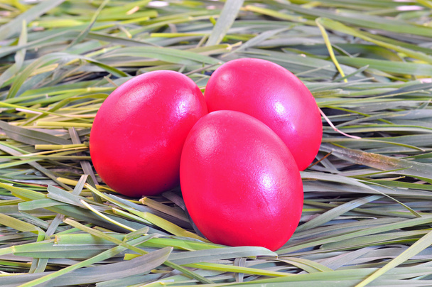 Red eggs on green grass, Easter tradition - Fotoğraf, Görsel