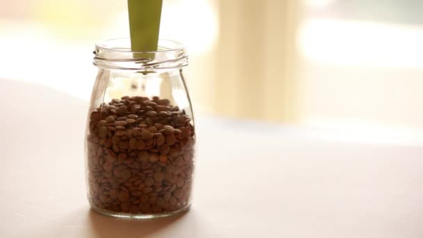 raw lentils get store in a glass jar - Footage, Video