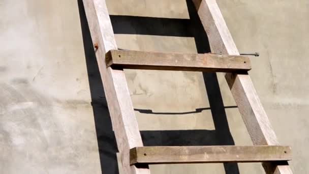 Wooden ladder - Footage, Video
