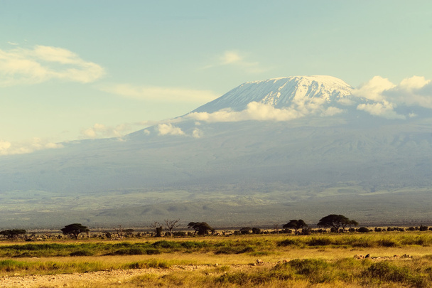 Hora Kilimandžáro - Fotografie, Obrázek