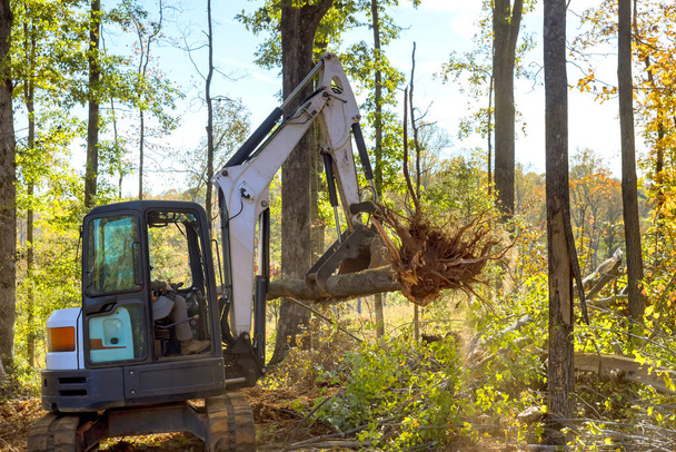 Tractor skid steer clearing land from roots for being prepared for construction housing development complex - Photo, Image