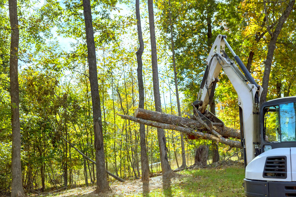 Durante el trabajo de jardinería: el volante de deslizamiento del tractor despeja los árboles durante la construcción para el complejo de viviendas - Foto, imagen