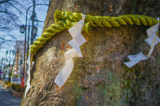 Shrines paper hanging. Shooting Location: Fuchu City, Tokyo - Photo, Image