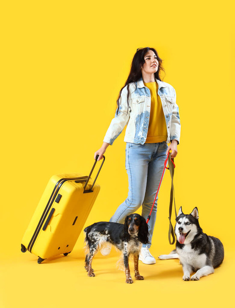 Sarı arka planda sevimli köpekleri ve bavulu olan genç bir kadın. - Fotoğraf, Görsel