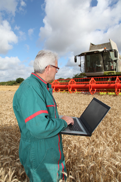 Farmer standing in wheat field with computer - Foto, imagen