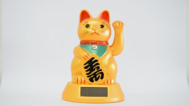 Oriental agitando gato
 - Metraje, vídeo