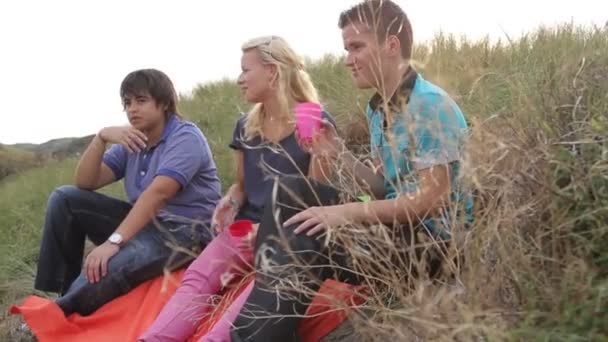 Nastolatki na pikniku - Materiał filmowy, wideo