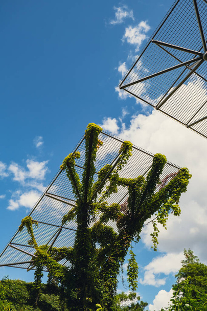 Ботанічний сад на даху бібліотеки Варшавського університету - це сучасна архітектура та рослинність. Сталий будівельний дизайн футуристичного дизайну біофілії. Екологічний зелений сучасний будинок. Сучасний - Фото, зображення