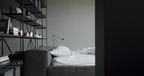 Elegance interior design with black and white colors. minimalistic scandinavian style of interior. Interior with bookshelf on the wall. Real Estate. Interior of modern luxury bedroom with furniture. - Filmmaterial, Video