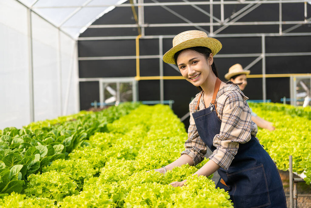 Дві азіатки вирощують зелений салат з дуба в теплиці з використанням органічної гідропонічної системи для їх сімейного бізнесу. - Фото, зображення