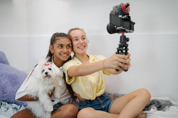 Alegre diversa adolescente amigas sentadas en la cama con perro y tomando selfie en la cámara - Foto, imagen
