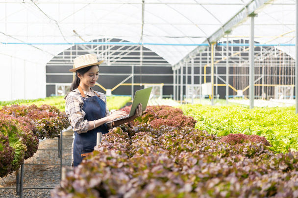 Az ázsiai női mezőgazdasági termelők számítógéppel gyűjtik az adatokat, és ellenőrzik a biogazdaságok hidroponikus gazdaságaiban a zöldségek minőségét és mennyiségét. kisvállalkozó; - Fotó, kép