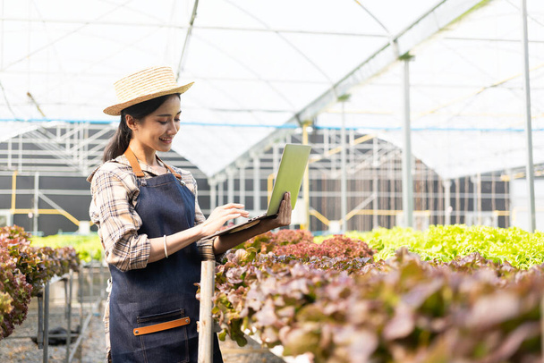 Asyalı kadın çiftçiler veri toplamak ve organik hidroponik çiftliklerdeki sebzelerin kalitesini ve miktarını izlemek için bilgisayar kullanıyorlar. Küçük işletme girişimcisi - Fotoğraf, Görsel