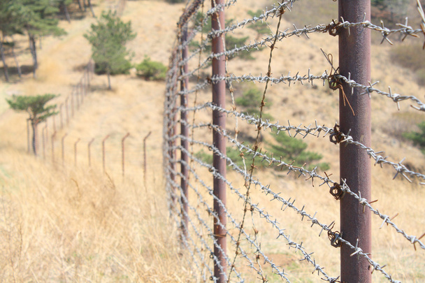 Проволочный забор
 - Фото, изображение