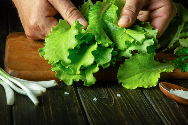 Close-up of a cook hands while sorting lettuce leaves on a kitchen board before preparing a vegetarian breakfast. Healthy vegetable food for a set of vitamins. - Foto, afbeelding
