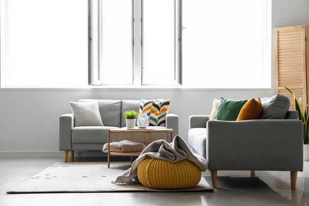 Útulné šedé pohovky a sáček s měkkou přikrývkou v interiéru světlého obývacího pokoje - Fotografie, Obrázek