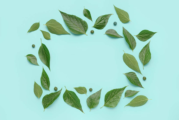 Rámeček ze zelených listů rostlin a semen na barevném pozadí - Fotografie, Obrázek