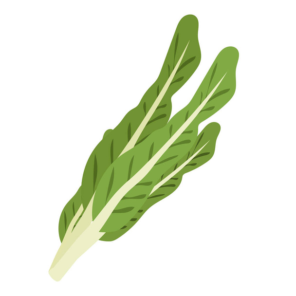Mostaza verde icono plano vector ilustración, mostaza marrón o mostaza vegetal, mostaza india o mostaza china verduras en estilo de dibujos animados - Vector, Imagen