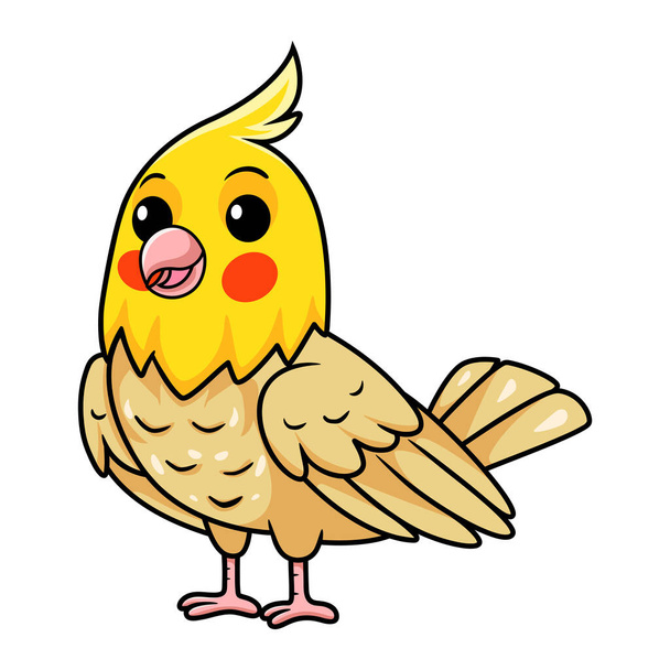 Ilustração vetorial do desenho animado bonito do pássaro lutino cockatiel - Vetor, Imagem