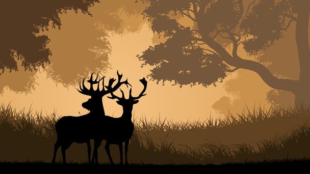 Horizontal illustration of wild animals in wood. - Vector, Image