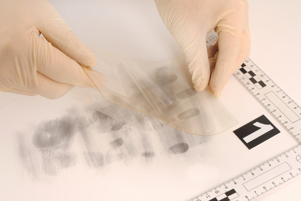 Fingerabdrücke aufdecken und konservieren - Foto, Bild