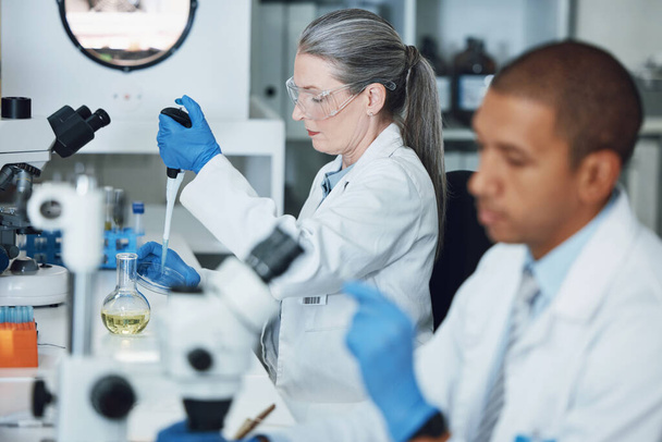 Laboratory research, pipette and scientist team working on biotechnology, chemistry investigation or pharmaceutical. Lab sample, vaccine analysis and people work on scientist experiment, test or exam. - Photo, Image
