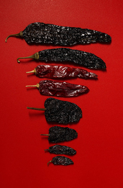 Αποξηραμένα Chilis κόκκινο φόντο, Χιλή guajillo Pasilla μεξικανική μπαχαρικό ποικιλία μέγεθος επίπεδη lay - Φωτογραφία, εικόνα
