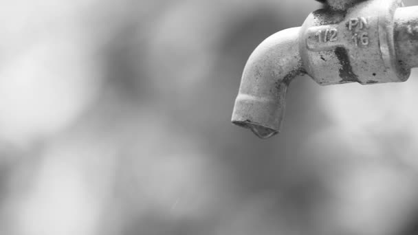 Un rubinetto che perde anche quando è completamente chiuso causa purtroppo la perdita di acqua. - Filmati, video