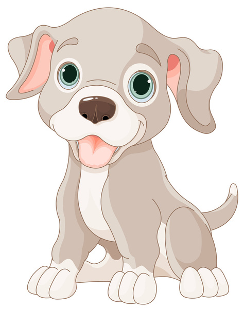 Cute little puppy - Вектор,изображение