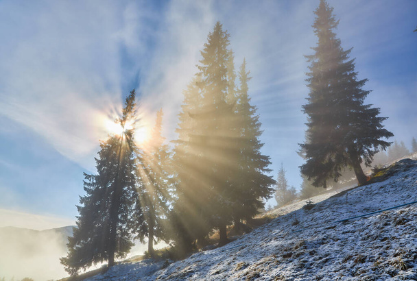A festői jelenet a hegy lejtőjén, díszített magas fenyőfák, porolt az első hó az évszakban. Ahogy a köd felkel, a nap áttör a fákon, gyönyörű fényt vetve az ágakon.. - Fotó, kép