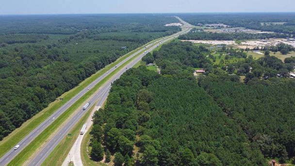 Зеленая автомагистраль I-10 с пышными зелеными соснами Лоблолли Пайнус Таеда до горизонтальной линии, природный лесной участок в Луизиане возле зоны отдыха Гринвуд. Остановка для отдыха на воздушной автостраде в США - Фото, изображение